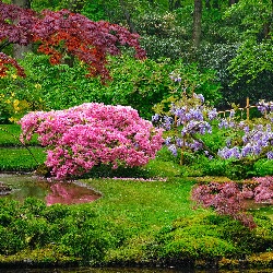 Jardin japonais