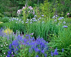 Jardin monochrome (une seule couleur, ici l'exemple du bleu)