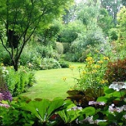 Jardin anglais