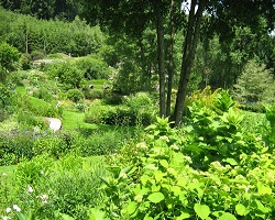 Jardin en feuille