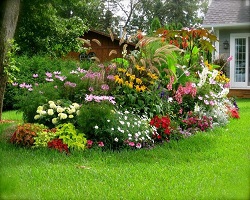 Jardin en fleurs