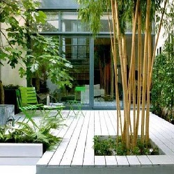Jardin moderne