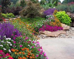Jardin polychrome (plusieurs couleurs)
