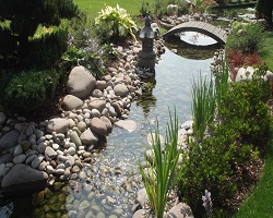 Une rivière